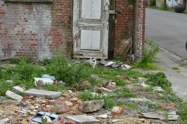 20140524-FCM-Doel_Belgie-076