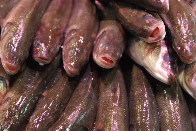 20131221-Cork-Ierland-040