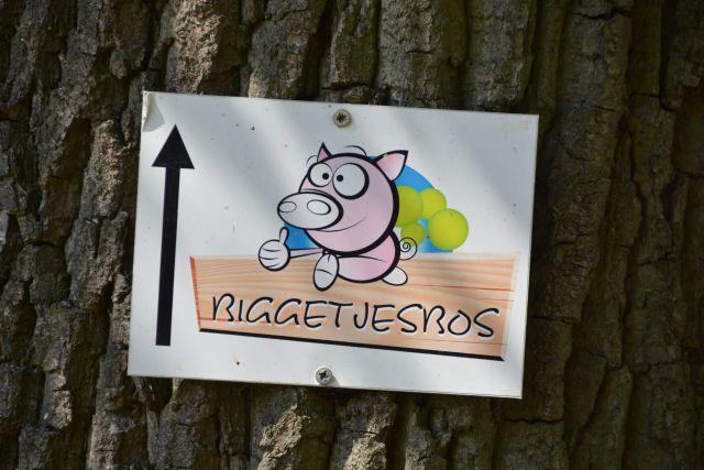 20140809-WeekendDeurne-030