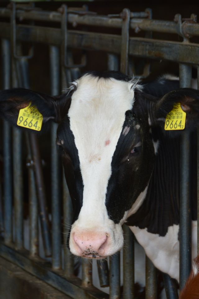 20140809-WeekendDeurne-035