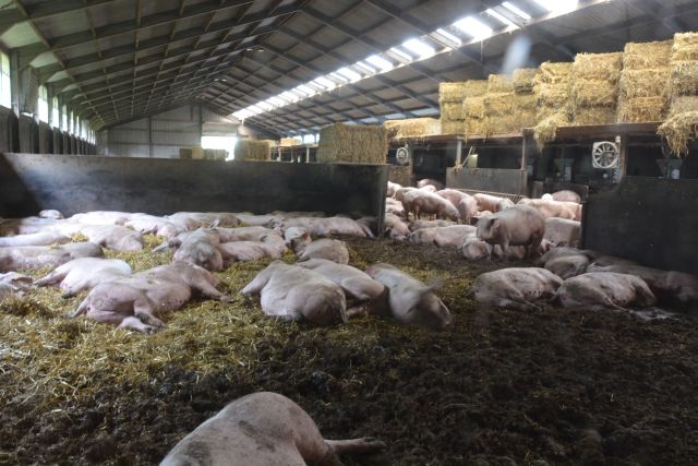 20140809-WeekendDeurne-037