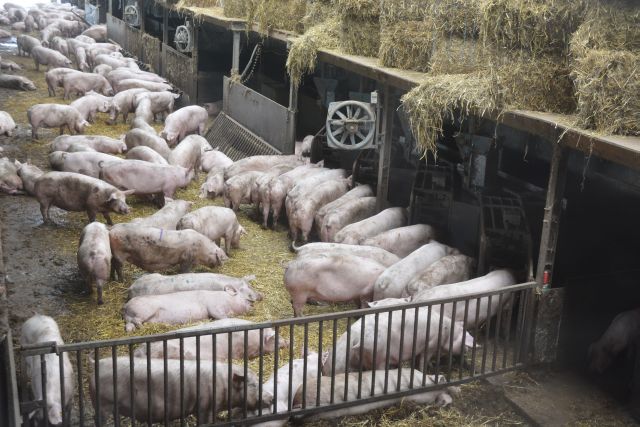 20140809-WeekendDeurne-038