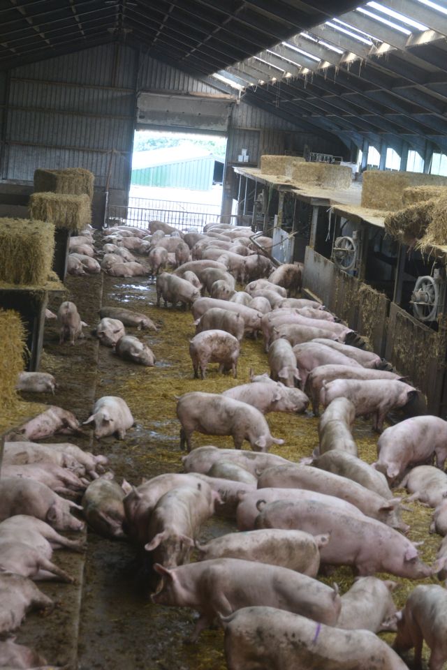 20140809-WeekendDeurne-039