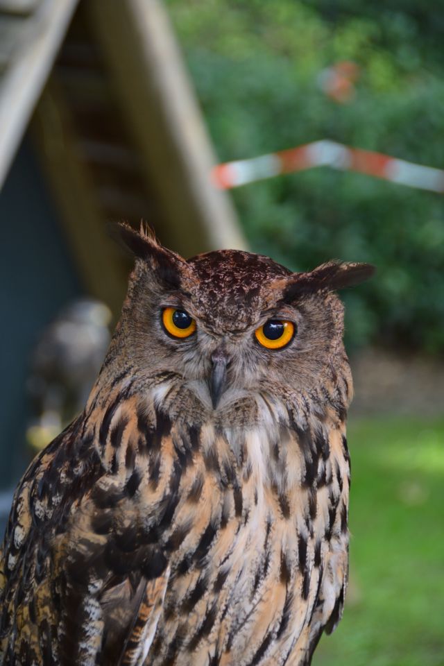 20140810-WeekendDeurne-058